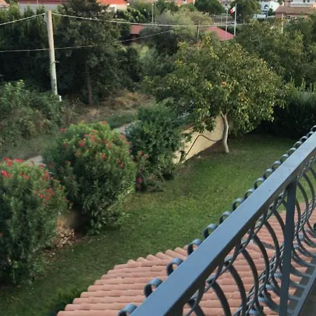 Relais Le Folaghe Bed & Breakfast Ladispoli Exterior photo